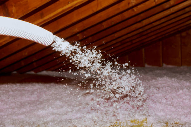 Best Insulation Maintenance and Repair in El Rancho, NM