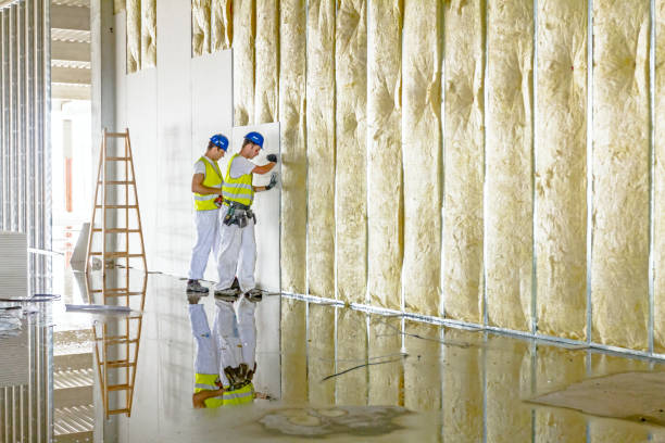 Best Types of Insulation in El Rancho, NM